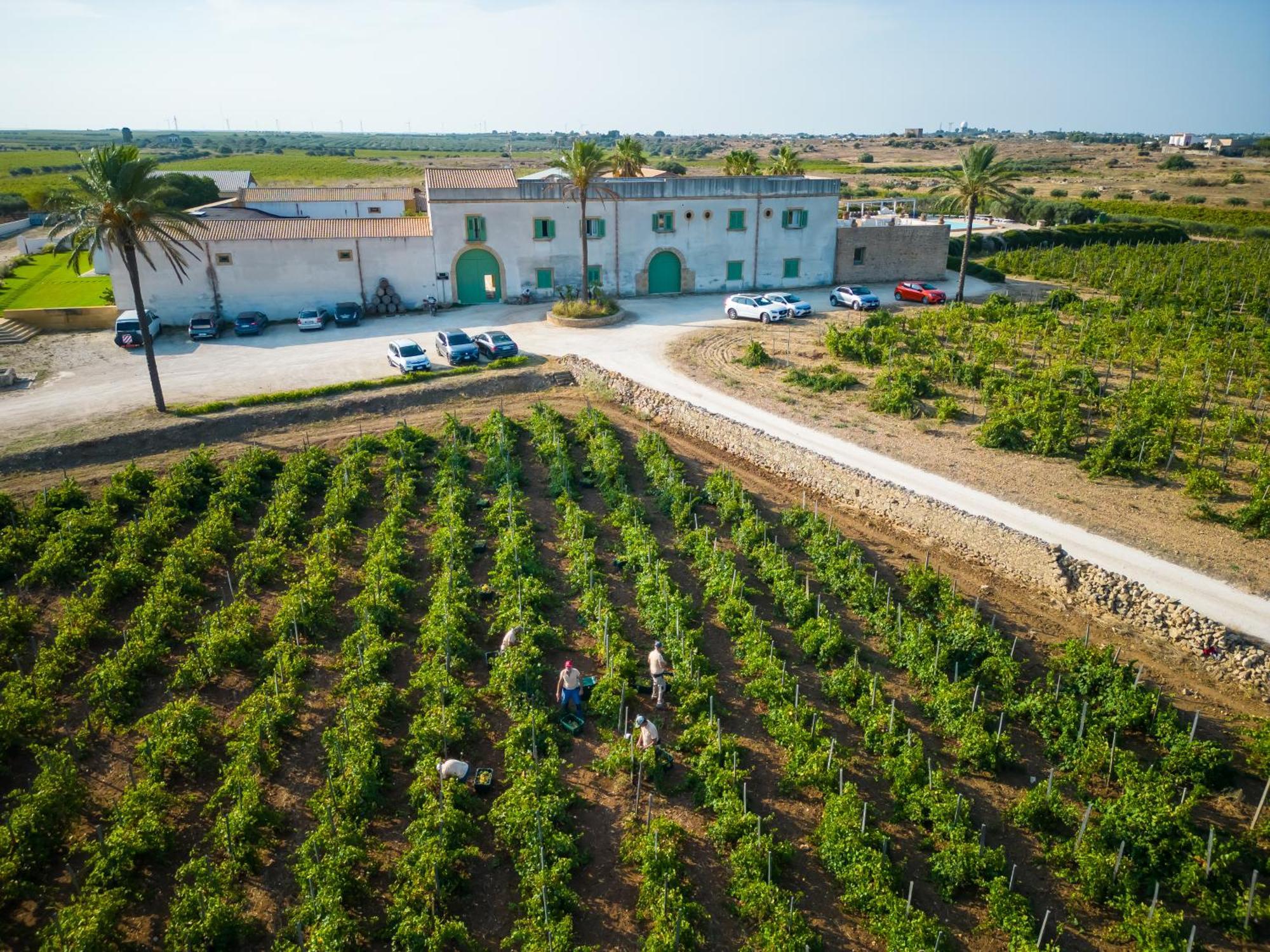 Agriturismo Baglio Donnafranca Wine Resort Marsala Exterior photo